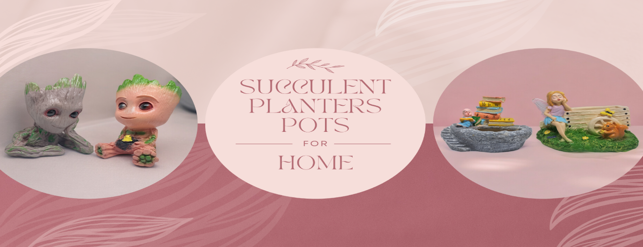 https://theshoppersparadise.in/product-category/home-improvement/plants-and-planters/